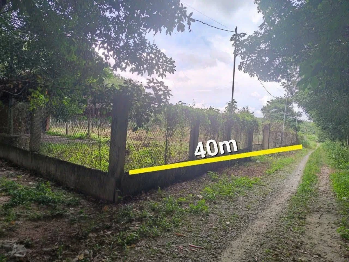 Bán đất có sẵn nhà vườn giá khoảng 2,2 tỷ tại Phường Long Nguyên, cách chợ Bến Cát 4km - Ảnh thu nhỏ 2