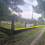 Bán đất có sẵn nhà vườn giá khoảng 2,2 tỷ tại Phường Long Nguyên, cách chợ Bến Cát 4km - Ảnh thu nhỏ 2