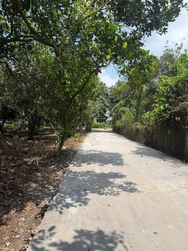 Bán đất 500m² mặt tiền 43m ở Phường Bình Lộc 890 triệu