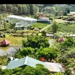 Bán khu đất kinh doanh 8.445m² tại Tà Nung, Đà Lạt, 17 tỷ - Ảnh thu nhỏ 1