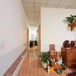 Bán nhà 2 mặt tiền Mai Xuân Thưởng, Đà Lạt, 105m2, 2,39 tỷ - Ảnh thu nhỏ 1