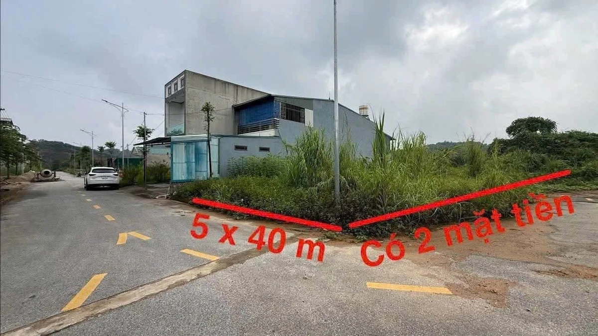 Bán đất 2 mặt tiền 190m² đường Âu Cơ - Ảnh thu nhỏ 2