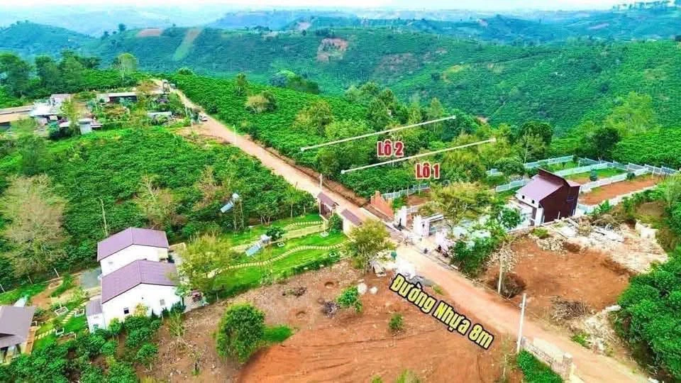 Bán đất Di Linh Lâm Đồng 412m², 849 triệu - Ảnh thu nhỏ 3