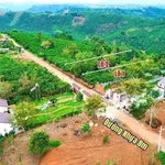 Bán đất Di Linh Lâm Đồng 412m², 849 triệu - Ảnh thu nhỏ 3