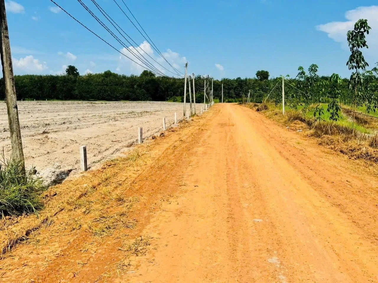 Bán đất 400m² Tân Phú 390 triệu - Ảnh 1