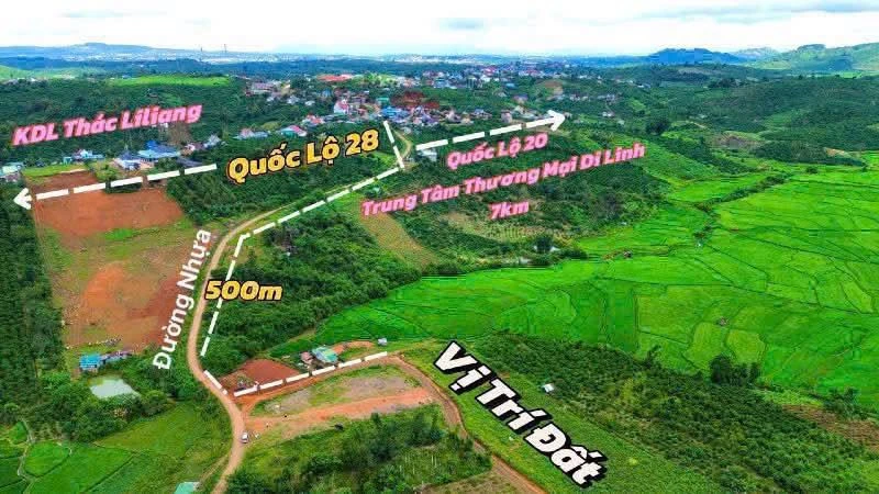 Bán đất nền biệt thự 320m² Di Linh, Lâm Đồng - Ảnh thu nhỏ 2