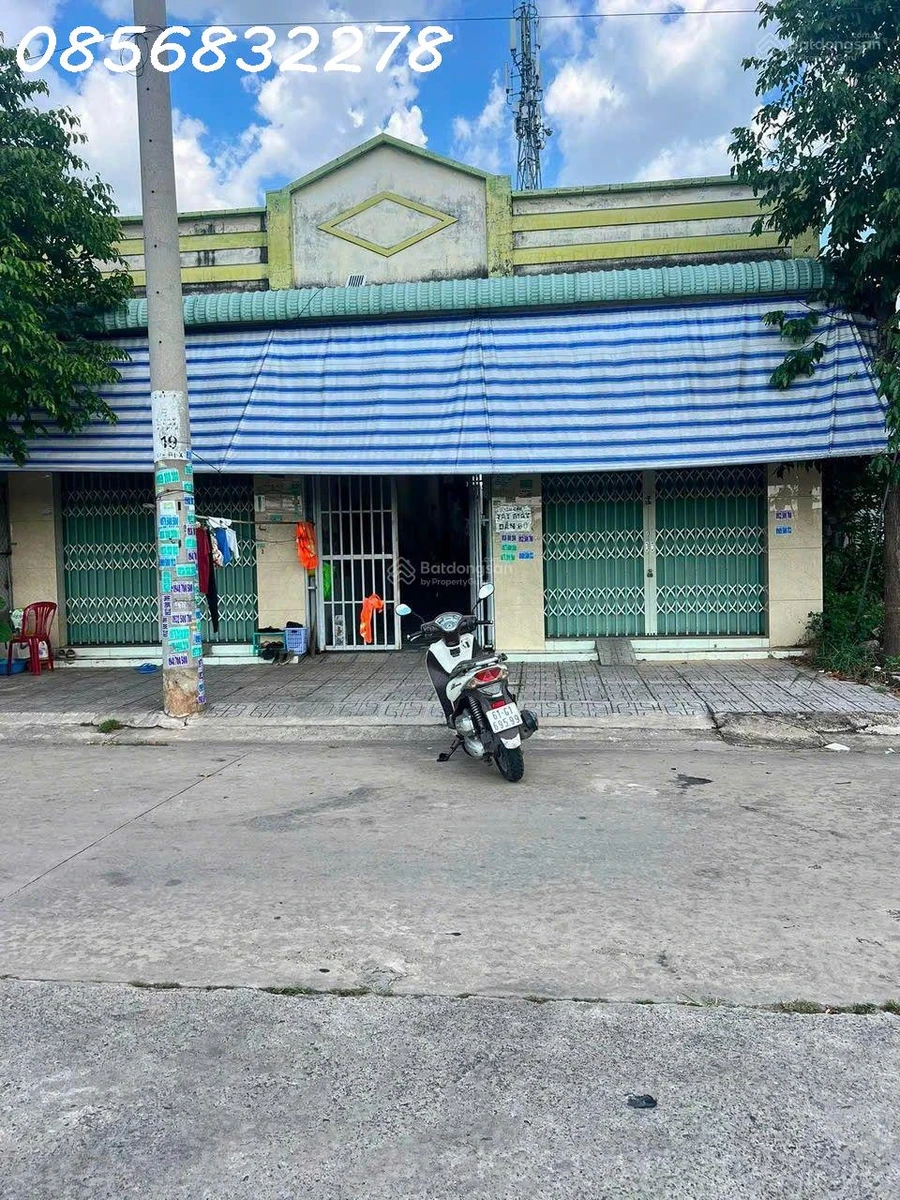 Bán đất tặng nhà cấp 4 xưa tại Nguyễn Văn Thành, p.Chánh Phú Hòa, Bến Cát, DT 800m2 - Ảnh thu nhỏ 2