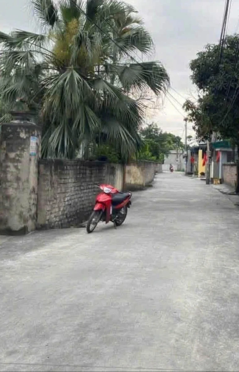 Bán đất 110m² Vĩnh Lập, Quảng Ninh giá 8 tỷ - Ảnh thu nhỏ 2