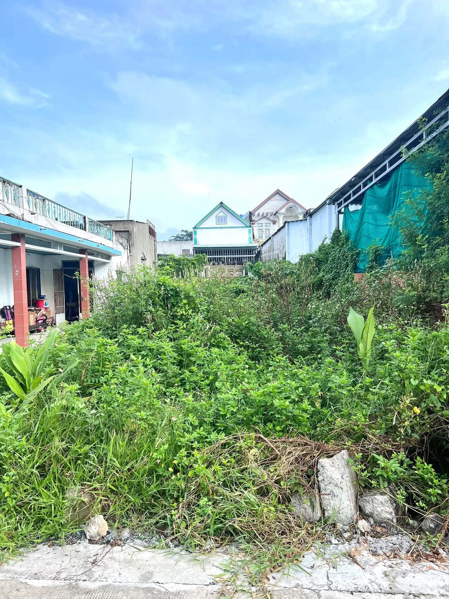 Bán đất 196m² mặt tiền Ba Ngừa, Đức Hoà, Tây Ninh - Ảnh 1