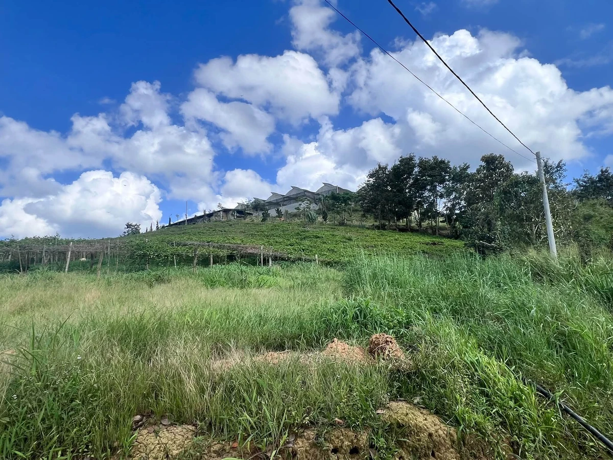 Bán đất view 2 mặt hồ Thủy điện Đại Ninh, Lâm Đồng 5.846 m² - Ảnh thu nhỏ 5