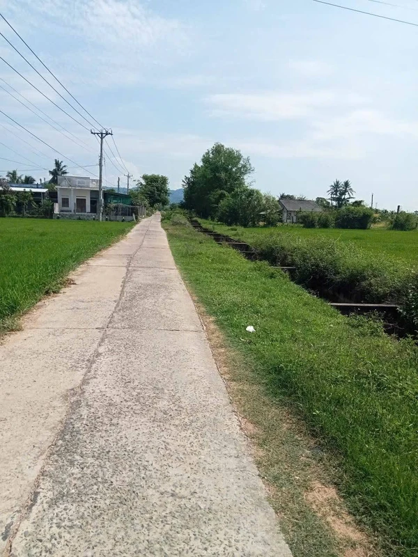 Bán đất 1000m2 mặt đường Hàm Trí Bình Thuận 3xx triệu