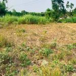 Bán đất 5x24m (120m²) Nghĩa Thuận Nhà Bè - 290 triệu - Ảnh thu nhỏ 2