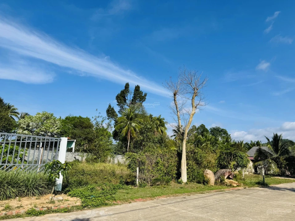 Bán đất 100% thổ cư Búng Gội, 494m2 giá 4.3tỷ, ngang 16.5m view núi đẹp, về sân bay Phú Quốc 20phut - Ảnh thu nhỏ 4