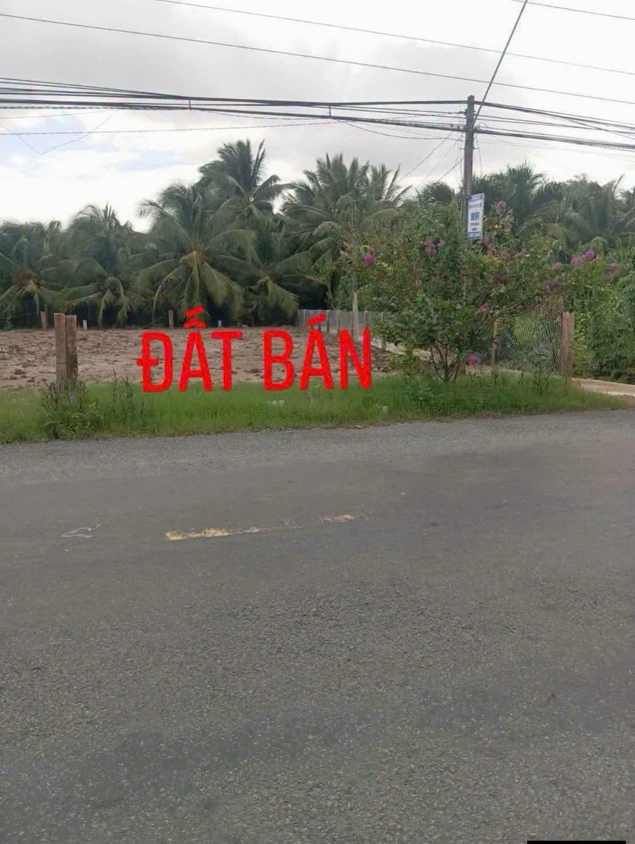 Bán đất mặt tiền kinh doanh 280.5m² Bình Ninh, Đồng Tháp - Ảnh thu nhỏ 2