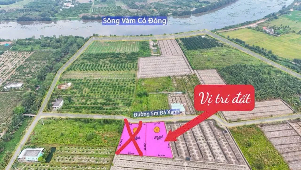 Bán đất vườn 1.215m² Bình Đức Bến Lức, 1,3 tỷ - Ảnh thu nhỏ 3