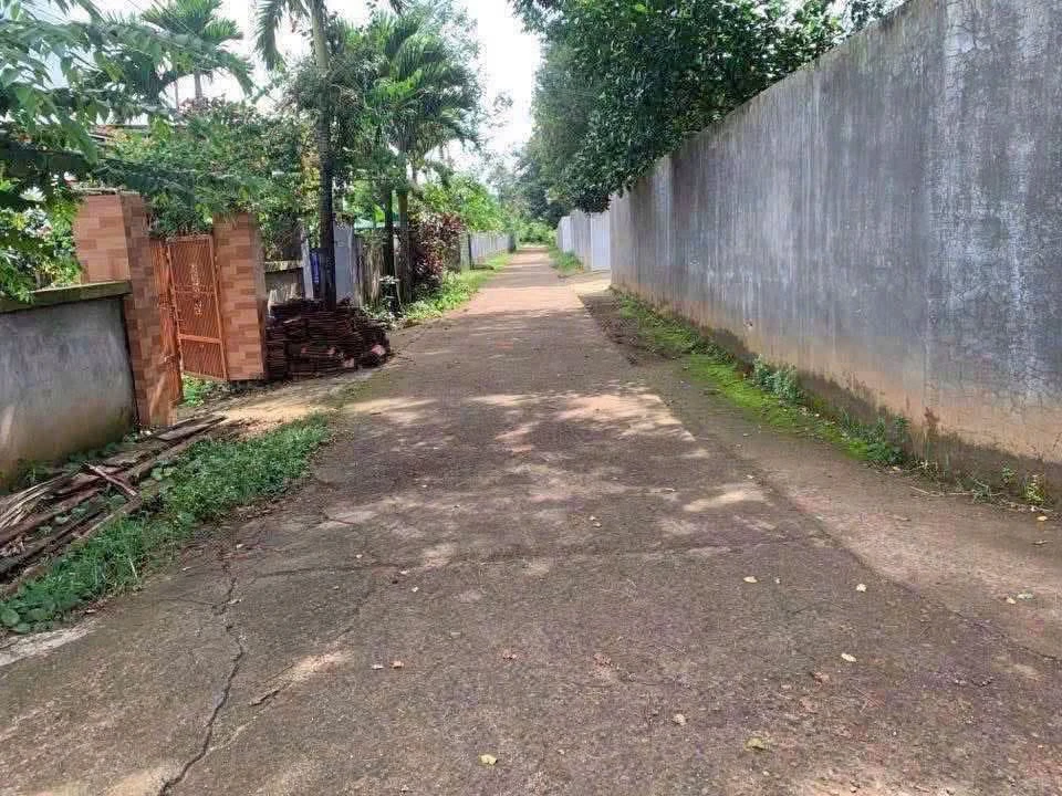 Bán đất Ea Kao 200m² giá 1 tỷ 380 triệu - Ảnh 1