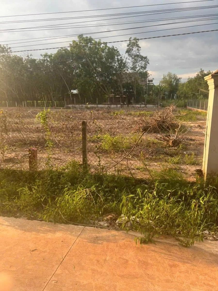 Bán lô đất 270m² Tây Ninh 350 triệu - Ảnh thu nhỏ 2