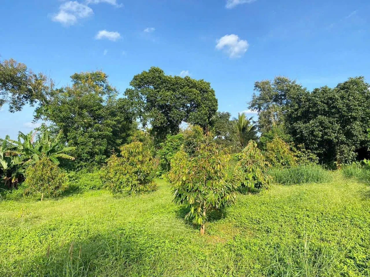 Bán đất view hồ Ea Cuor Kap 400m² giá 5 tỷ - Ảnh thu nhỏ 3