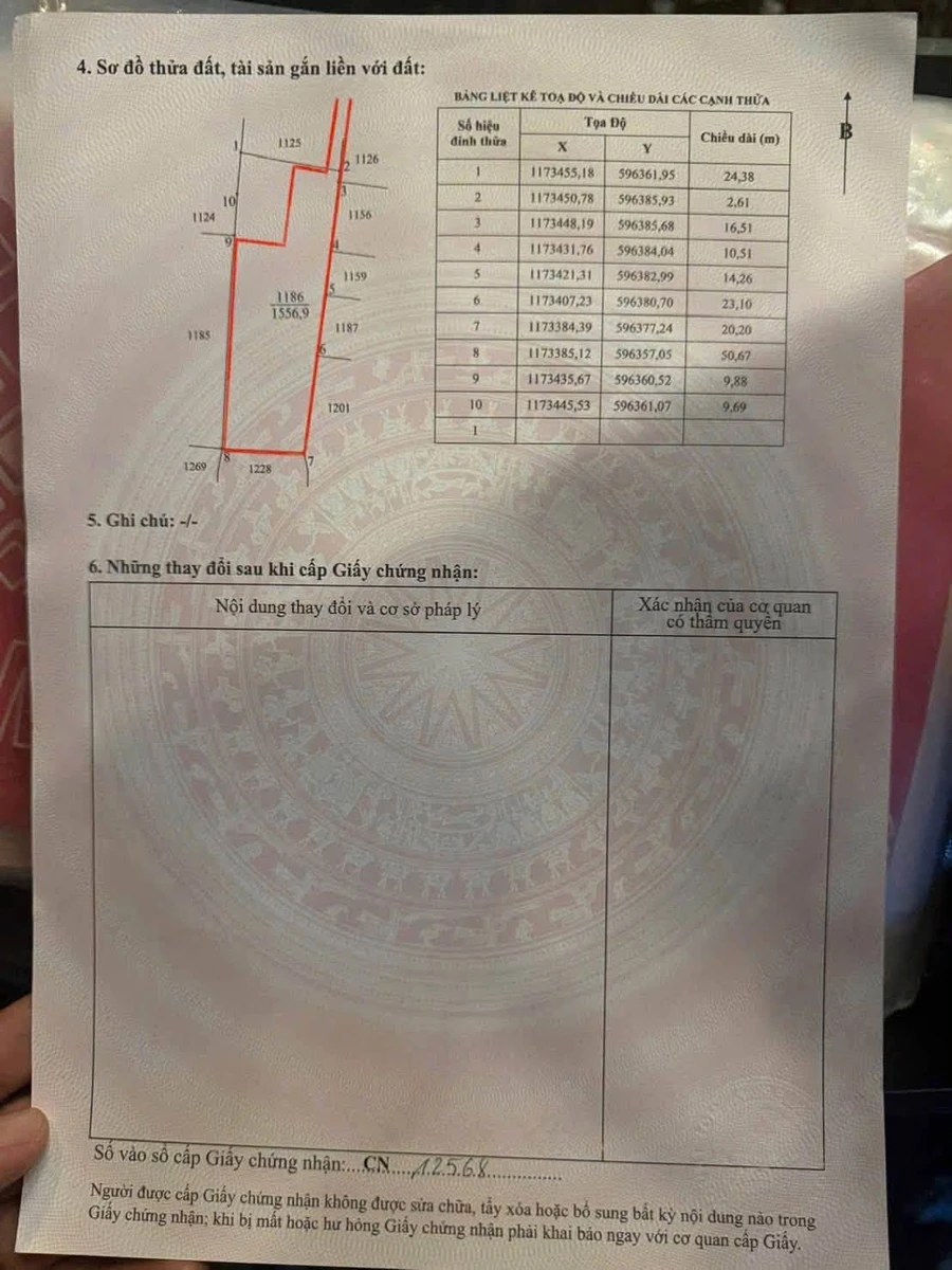 Bán đất lúa 1.300m² Nhà Bè 1.35 tỷ - Ảnh thu nhỏ 2