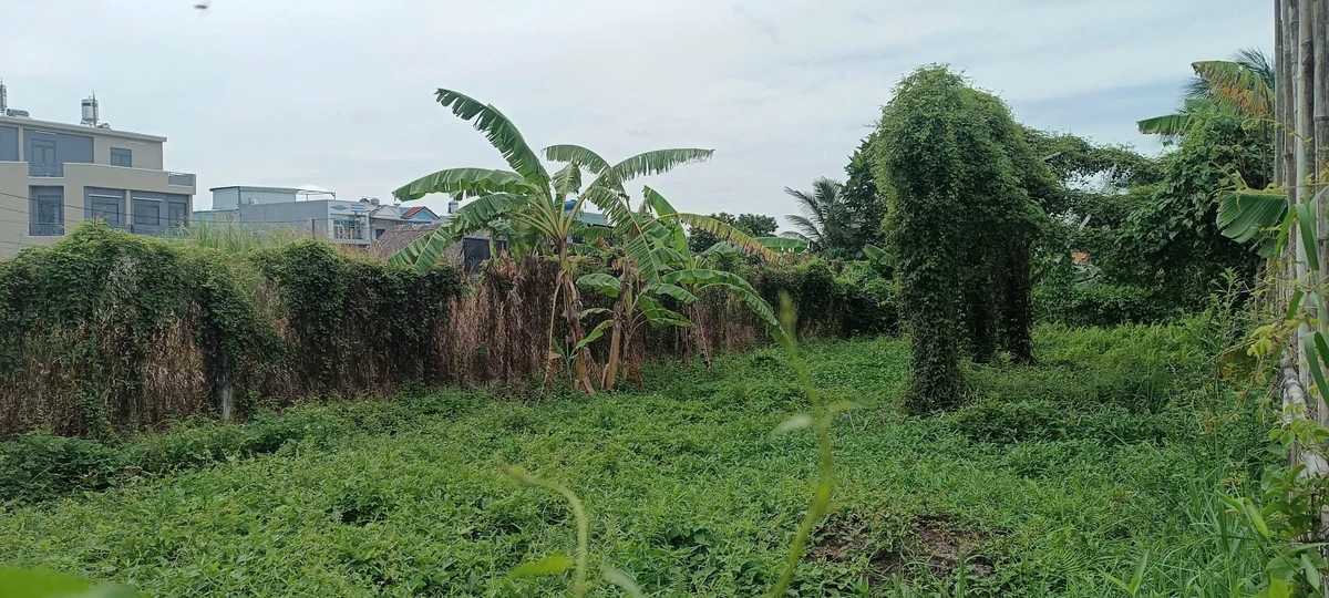 Bán đất vườn 8,5x25m hẻm ô tô thông giá 990 triệu tại xã Bình Mỹ, Củ Chi - Ảnh thu nhỏ 2