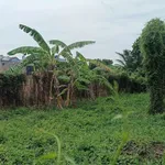 Bán đất vườn 8,5x25m hẻm ô tô thông giá 990 triệu tại xã Bình Mỹ, Củ Chi - Ảnh thu nhỏ 2