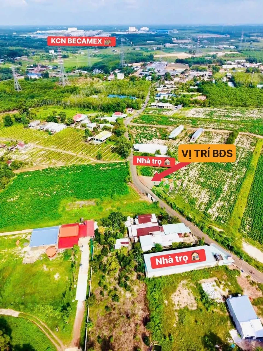 Bán đất 244m2 Nha Bích, Bình Chánh - 1,12 tỷ, dòng thu nhập 12tr/tháng - Ảnh 1