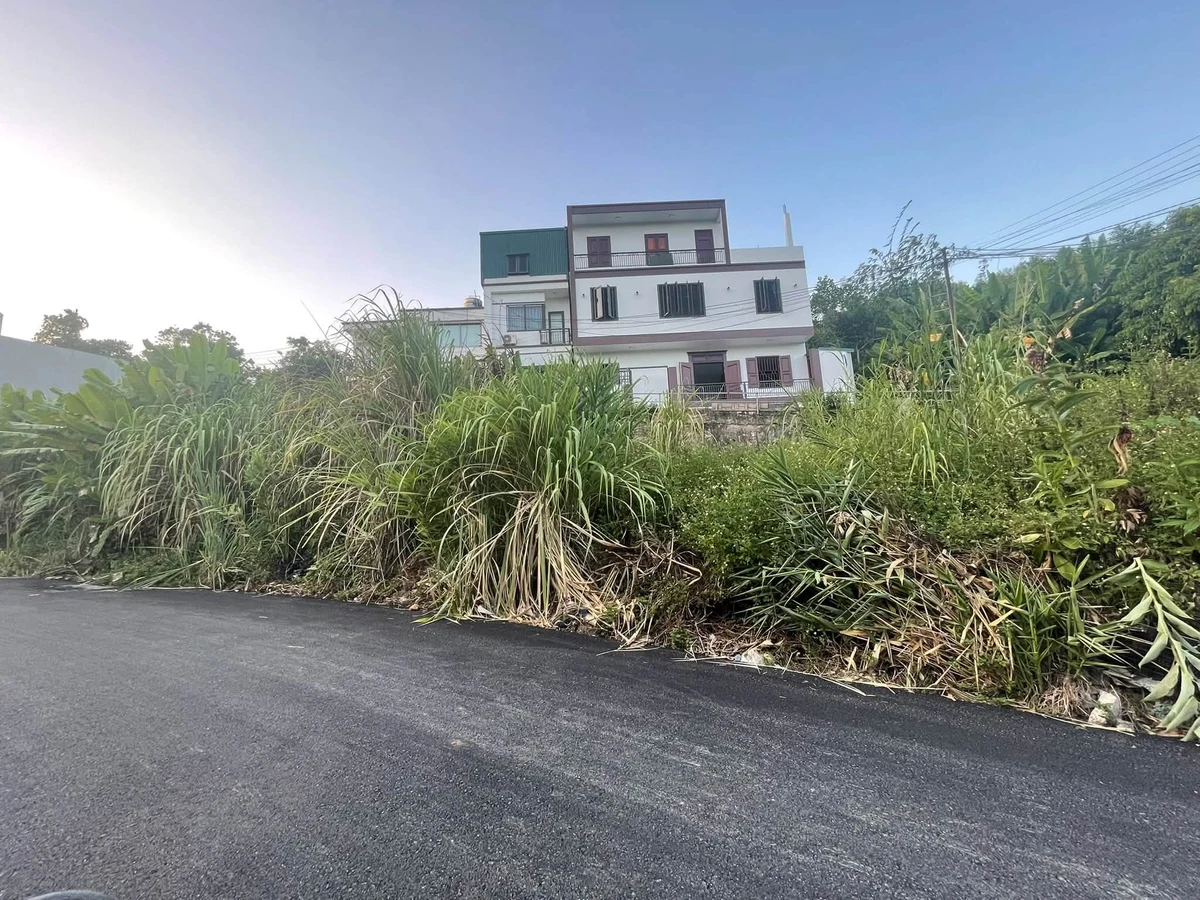 Bán đất Hà Trung 56,3m2 mặt tiền 4,77m 1 tỷ 150 - Ảnh thu nhỏ 4