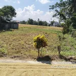 Đất thổ cư nở hậu Hòa Phong, Tây Hòa 329m² (100m² ONT), ngang 8.7m hậu 12m, gần QL29 - Ảnh thu nhỏ 1