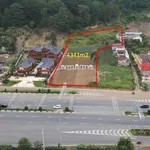 Bán đất mặt tiền cao tốc 4.341m² Định An Đà Lạt - Ảnh thu nhỏ 1
