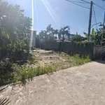 Bán đất xóm 5 chợ Tây Ba 100m² gần cầu Thanh Hà - Ảnh thu nhỏ 3