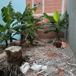 Bán lô đất 101m² mặt tiền hẻm ôtô Hàn Thuyên, Quận 7 - Ảnh thu nhỏ 2