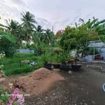 Bán đất + nhà + vườn dừa + ao 760m² Huỳnh Tấn Phát Bến Tre 3 tỷ - Ảnh thu nhỏ 2