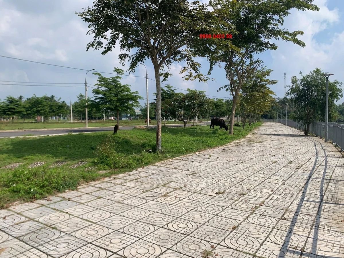 Bán lô đất biệt thự 205m² view sông Quảng Ngãi 1,95 tỷ - Ảnh 1