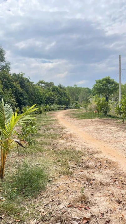 Chính chủ bán tổng 5.000m2 đất Long Nguyên Bàu Bàng. LH ngay 0989 288 *** - Ảnh thu nhỏ 3