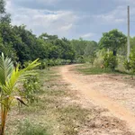 Chính chủ bán tổng 5.000m2 đất Long Nguyên Bàu Bàng. LH ngay 0989 288 *** - Ảnh thu nhỏ 3