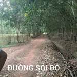 Bán đất 10 ha cây cao su Bắc Tân Uyên, giá 350k/m2 - Ảnh thu nhỏ 5