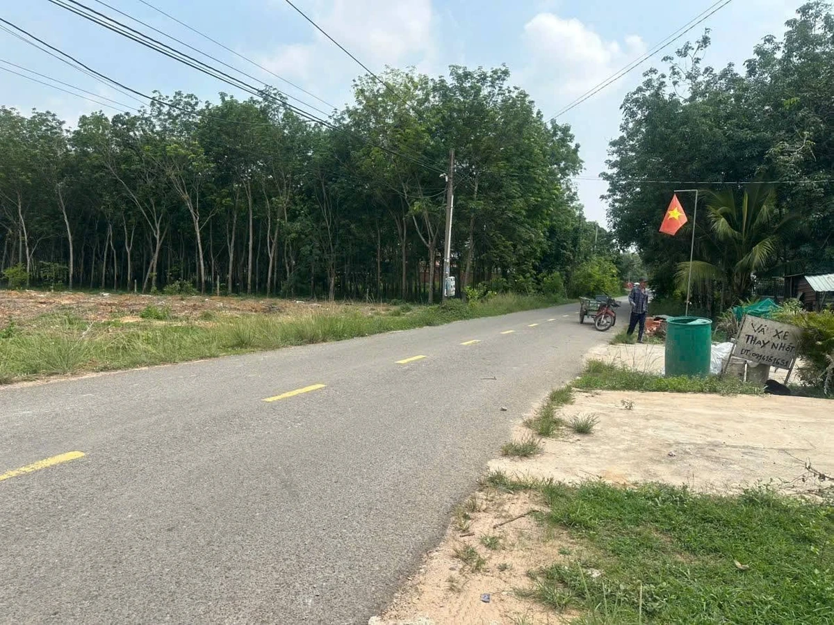 Bán lô đất 175m² Long Nguyên, Bàu Bàng, Bình Dương 780 triệu - Ảnh thu nhỏ 4