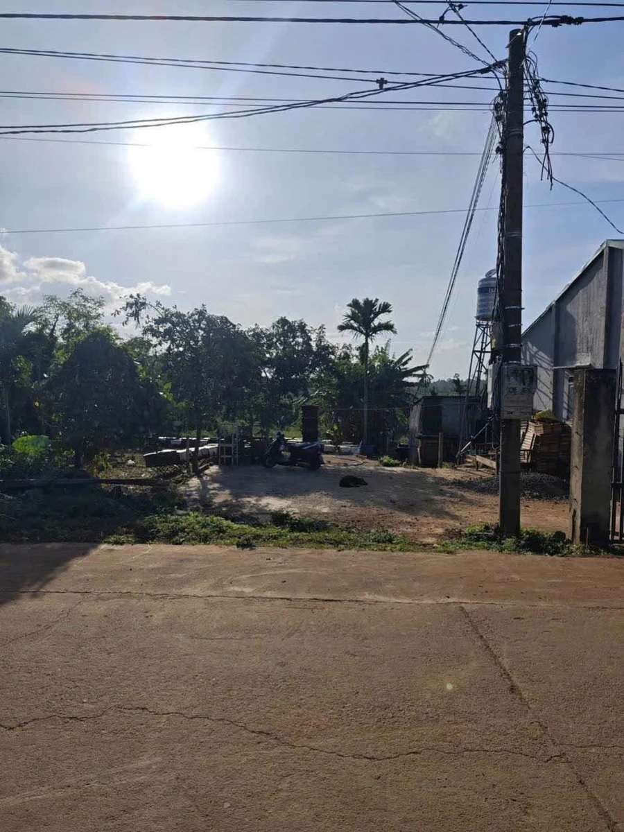 Bán đất mặt tiền 160,8m² 599 triệu đường 19/5 nối dài - Ảnh thu nhỏ 2