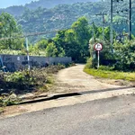 Bán đất 1.500m2, 3 mặt tiền Suối Cát, Khánh Hòa - Ảnh thu nhỏ 4