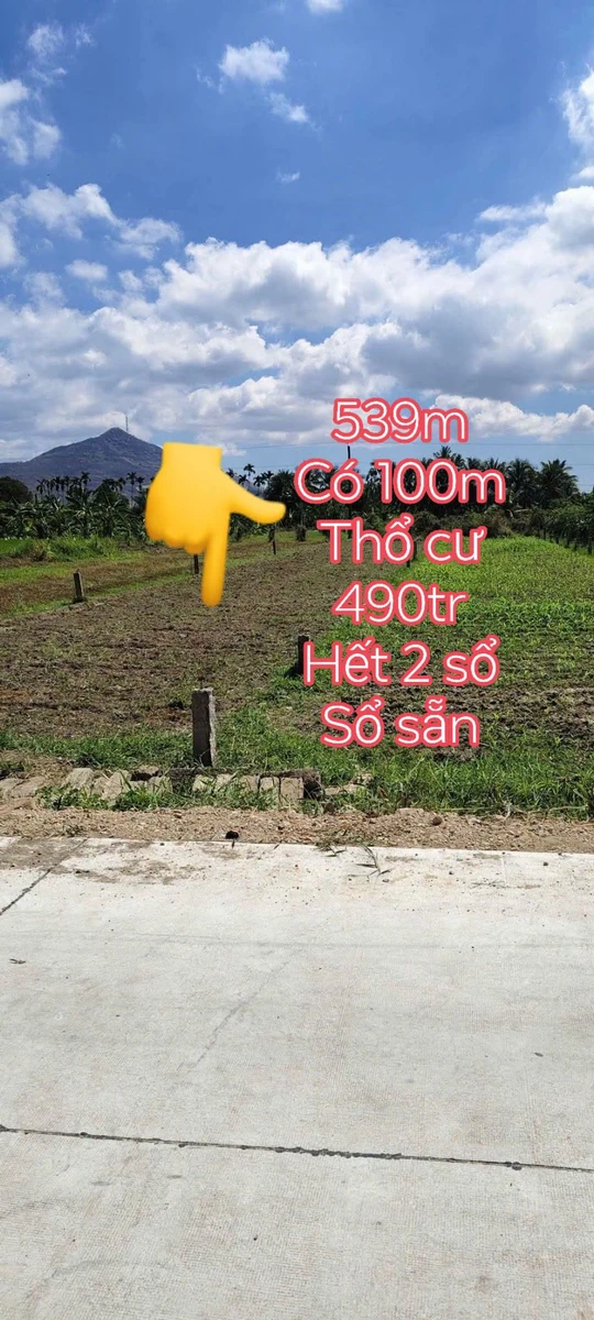 Bán đất 539m2 có 100m2 thổ cư, 2 sổ riêng, giá 490 triệu tại thị trấn Ma Lâm - Ảnh 1