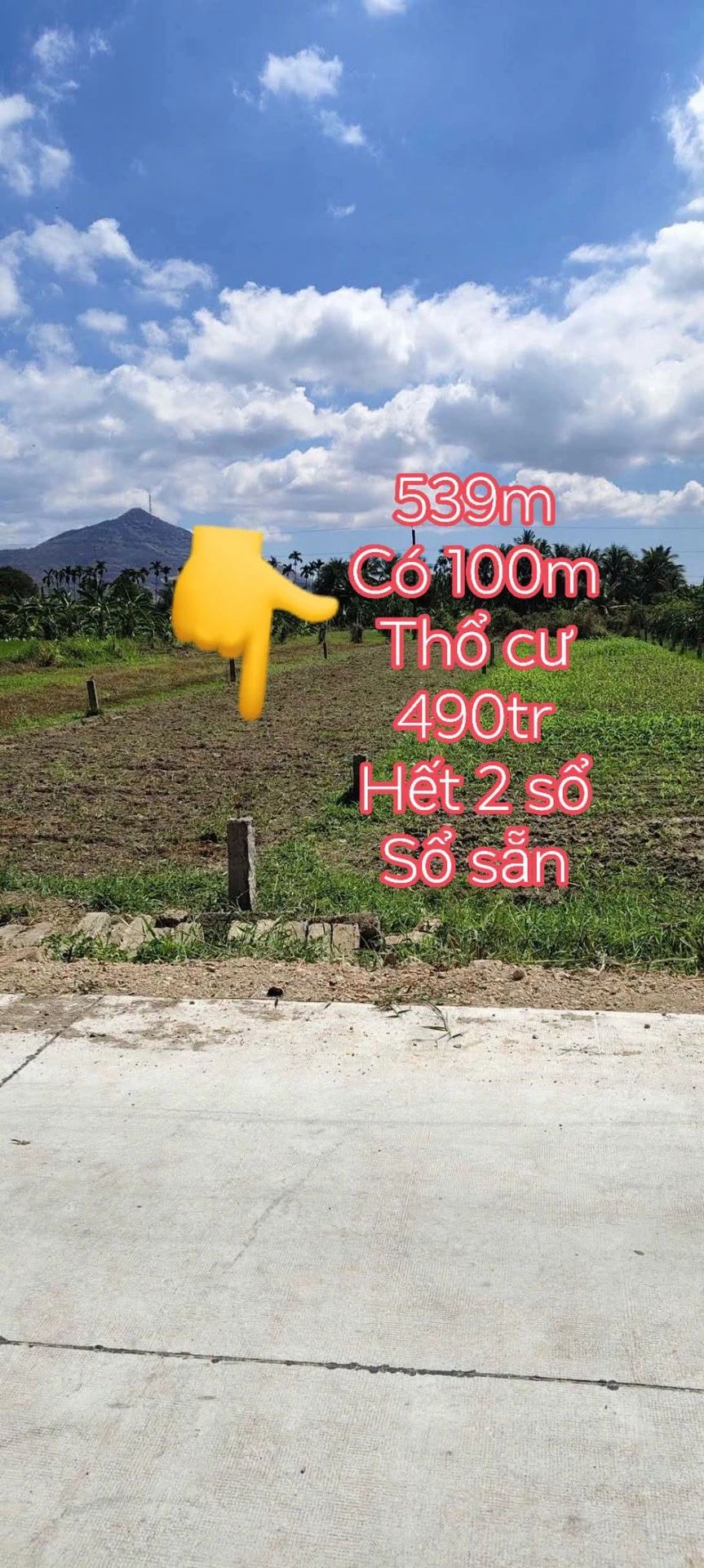 Bán đất 539m2 có 100m2 thổ cư, 2 sổ riêng, giá 490 triệu tại thị trấn Ma Lâm - Ảnh 1