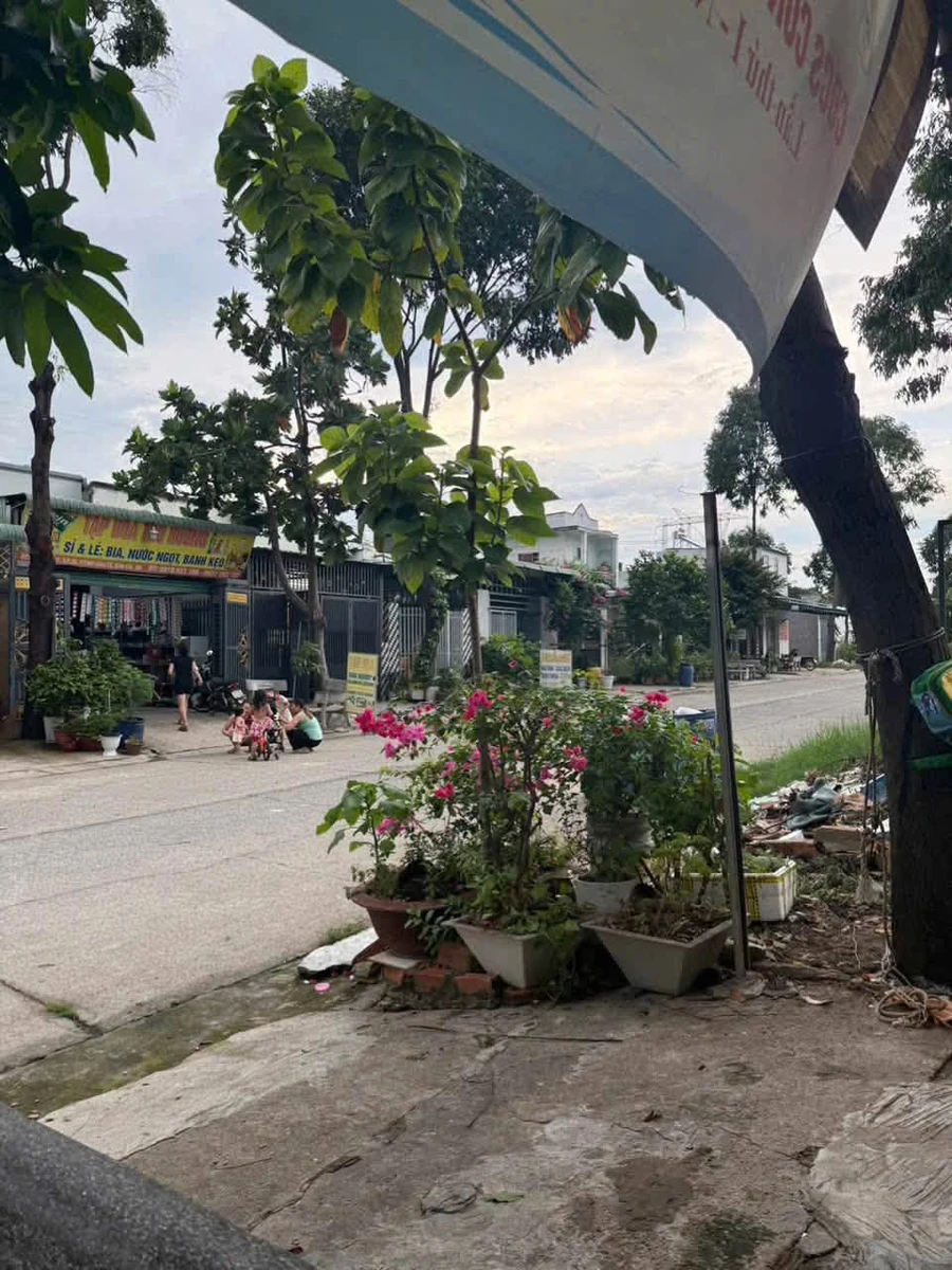 Bán 2 căn nhà 7 phòng trọ 300m2 thổ cư gần chợ Mỹ Phước 3, Bình Dương - Ảnh thu nhỏ 2