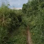 Bán đất 4 sào (4000m²) 550 triệu Xuân Lộc - Ảnh thu nhỏ 3