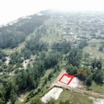 Đất biển Hải Ninh, giá rẻ cho nhà đầu tư - Ảnh thu nhỏ 4