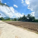 Bán đất mặt tiền Bầu Dài xã Diên Điền 129,5m² 770 triệu - Ảnh thu nhỏ 2