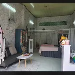 Cho thuê nhà hẻm 40m² 1PN Ni Sư Huỳnh Liên, Tân Bình - Ảnh thu nhỏ 3