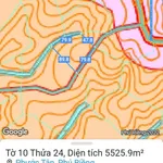 Bán 1 mẫu 6 đất nền Phú Riềng Bình Phước 1,8 tỷ - Ảnh thu nhỏ 4