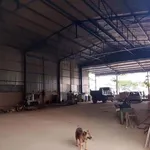 Cho thuê kho xưởng 500m² Dĩ An 20 triệu/tháng - Ảnh thu nhỏ 1
