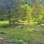 Bán đất vườn 1000m² tại Đồng Nai, gần KCN Becamex - Ảnh thu nhỏ 4