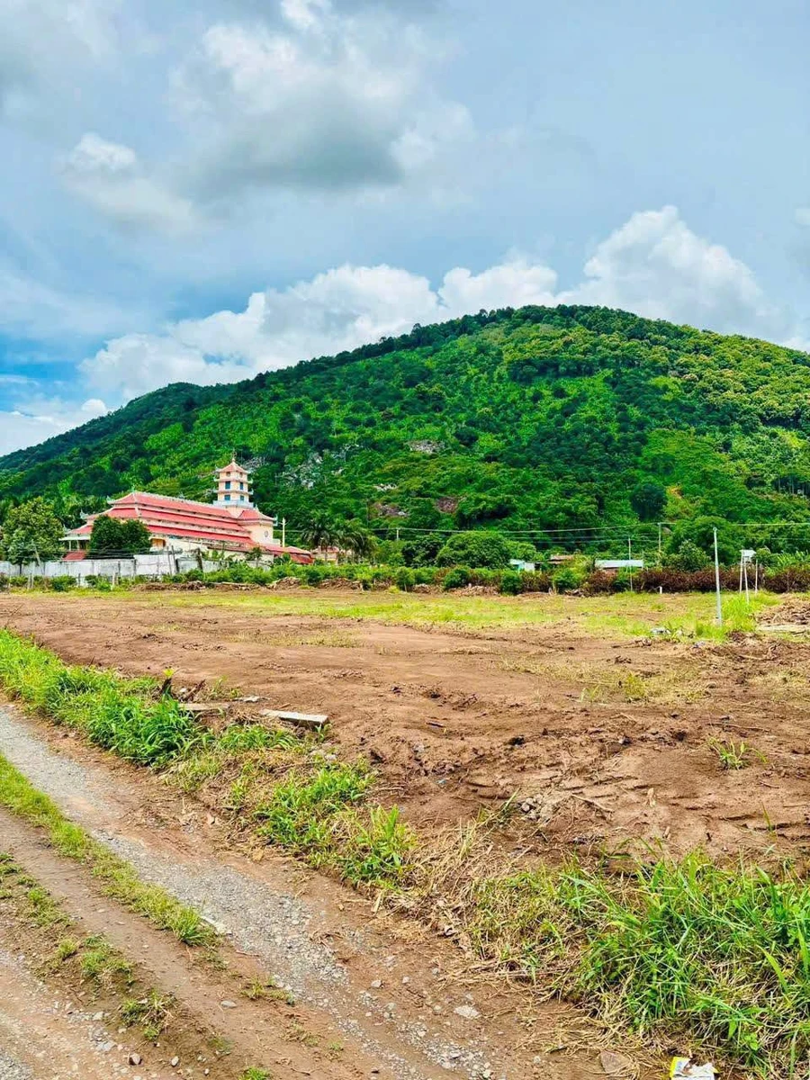 Bán đất thổ cư Bình Minh Tây Ninh 165m² giá 285 triệu - Ảnh thu nhỏ 3